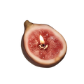 Figue Noire Candle